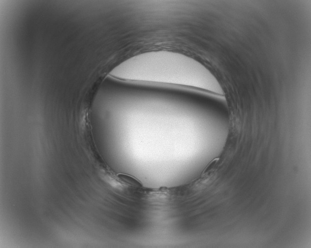 X0000073830574200608101004