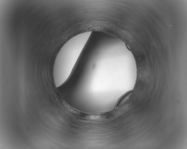 X0000073830575200608101004