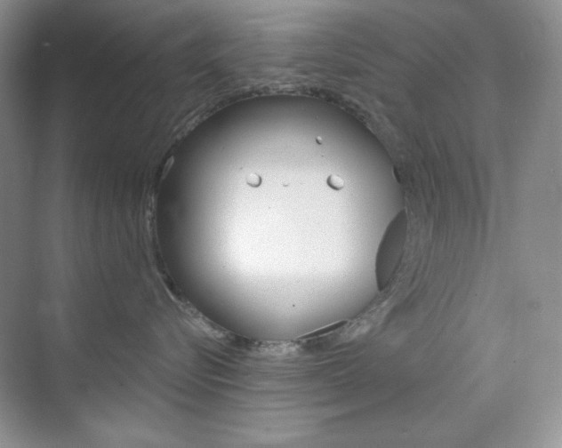 X0000073830576200608101004