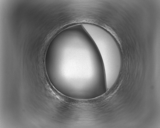 X0000073830577200608101004