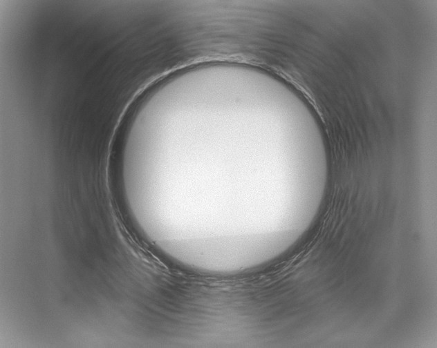 X0000073830579200608101004