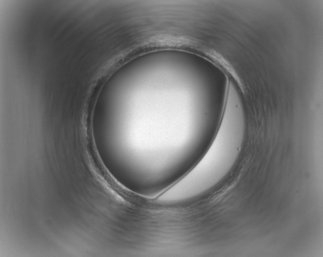 X0000073830581200608101004