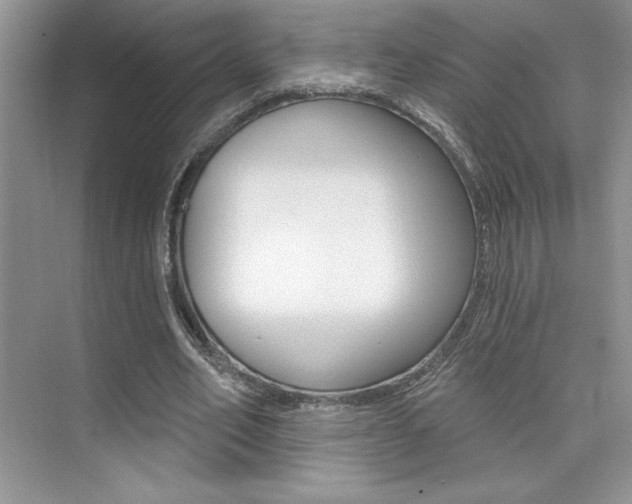 X0000073830582200608101004