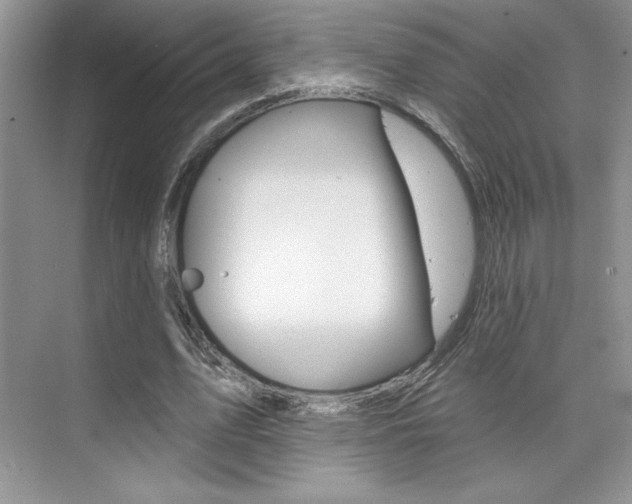 X0000073830583200608101003