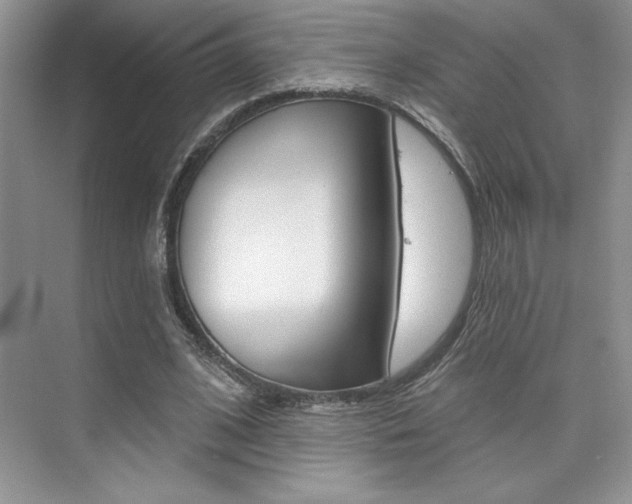 X0000073830584200608101003