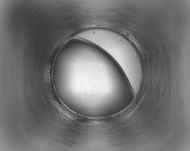 X0000073830585200608101003