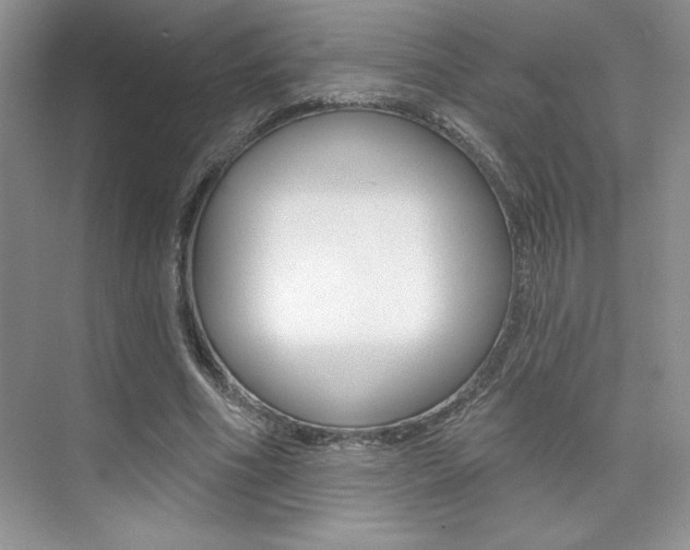 X0000073830586200608101003