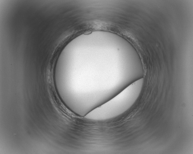 X0000073830587200608101003