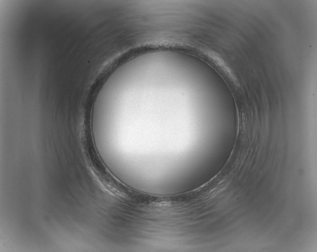 X0000073830588200608101003