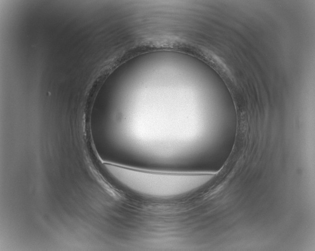 X0000073830589200608101003