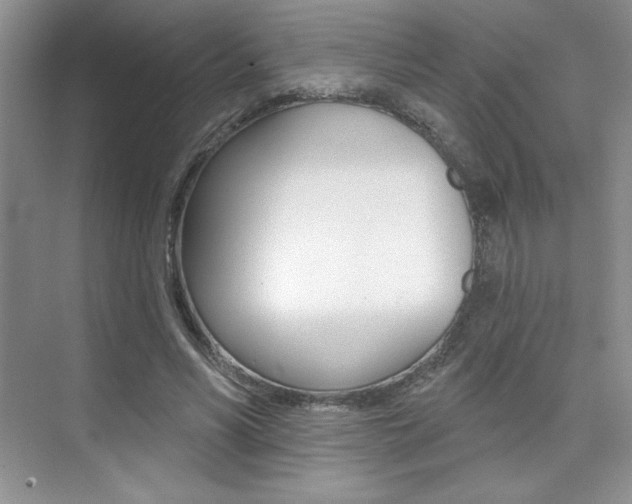 X0000073830590200608101003