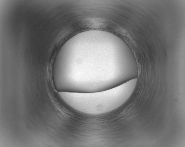 X0000073830591200608101003