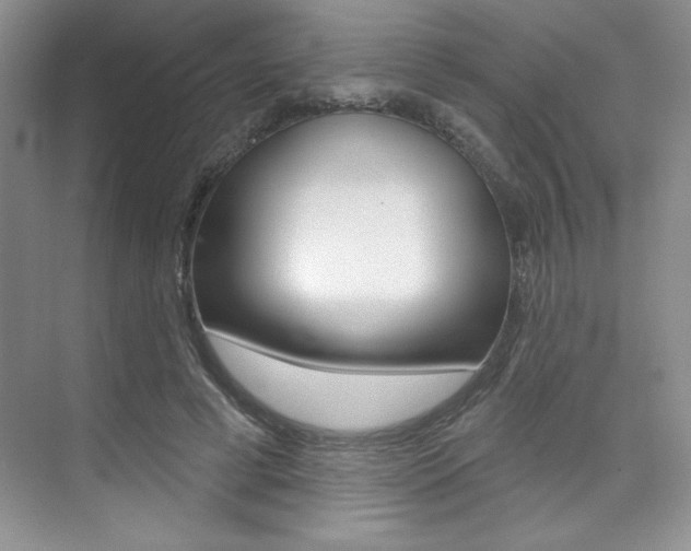 X0000073830593200608101003