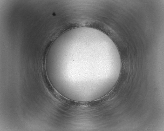 X0000073830594200608101003