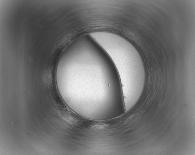 X0000073830595200608101003