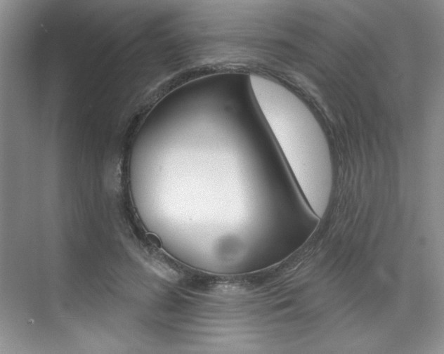 X0000073830596200608101003