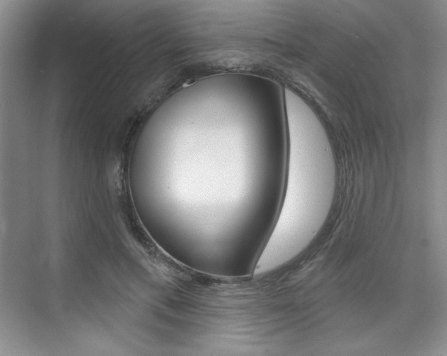 X0000073830597200608101003