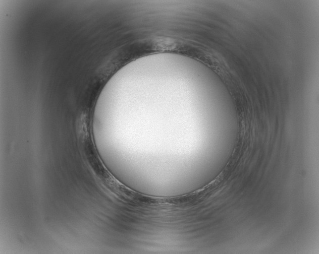 X0000073830598200608101003