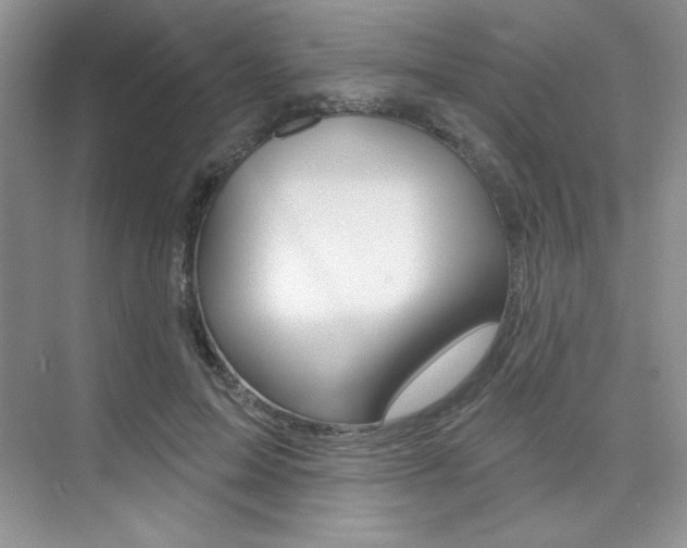 X0000073830599200608101003