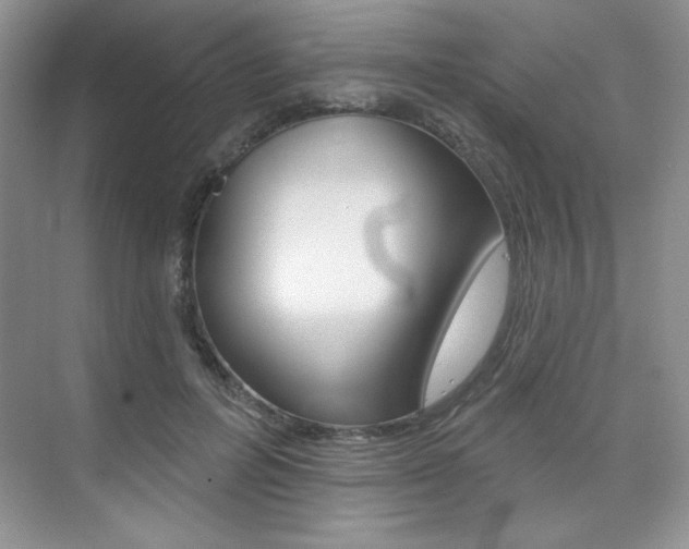 X0000073830600200608101003