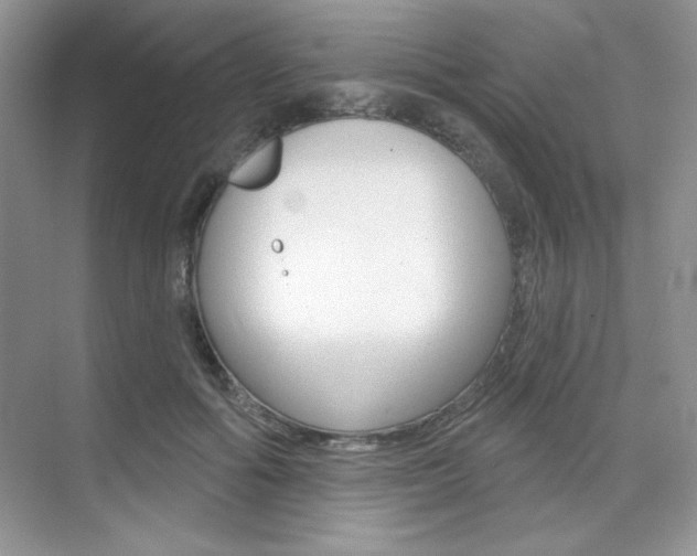 X0000073830602200608101003