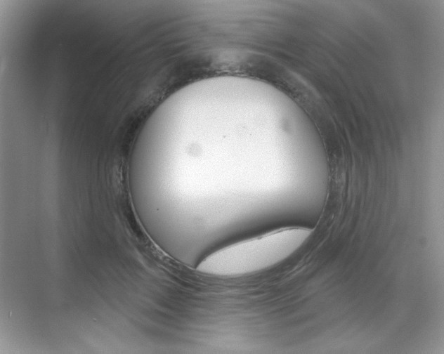 X0000073830603200608101003