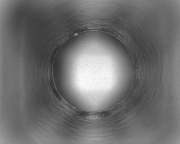 X0000073830604200608101003