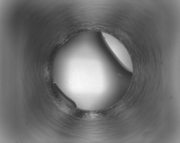 X0000073830607200608101003