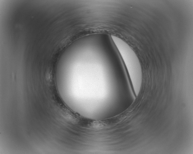 X0000073830608200608101003