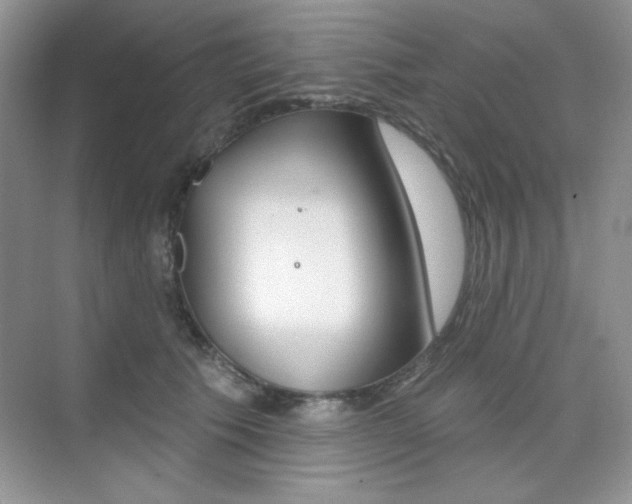 X0000073830609200608101003