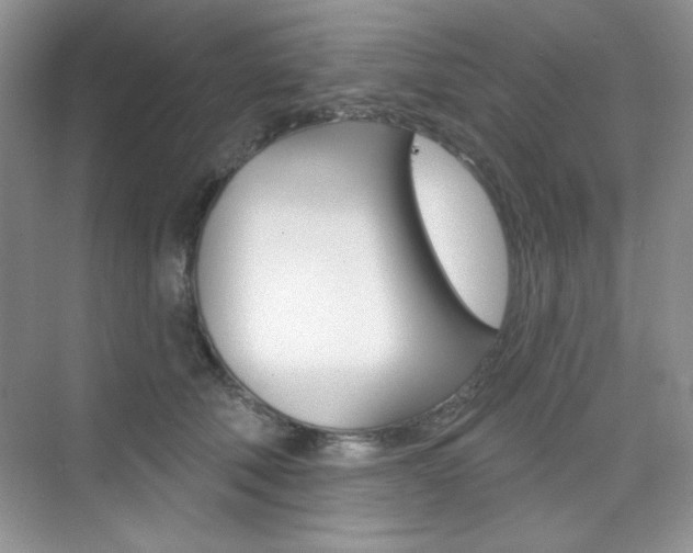 X0000073830610200608101003