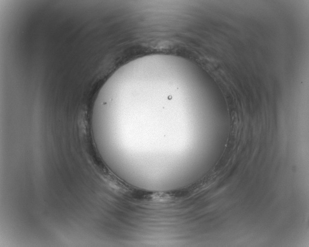 X0000073830612200608101003