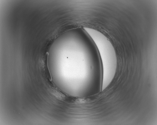 X0000073830613200608101003