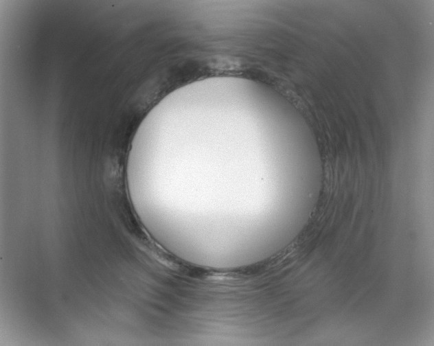 X0000073830614200608101003