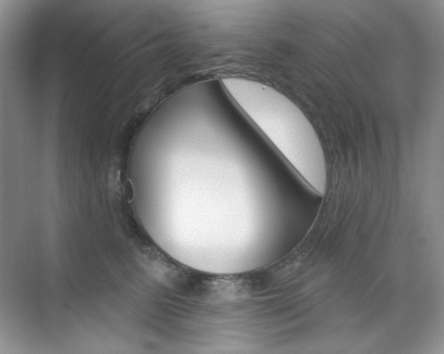 X0000073830615200608101003