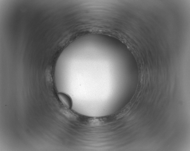 X0000073830616200608101003