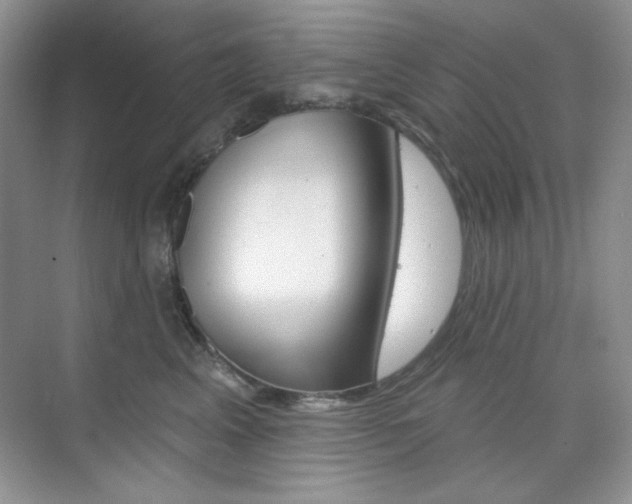 X0000073830617200608101003