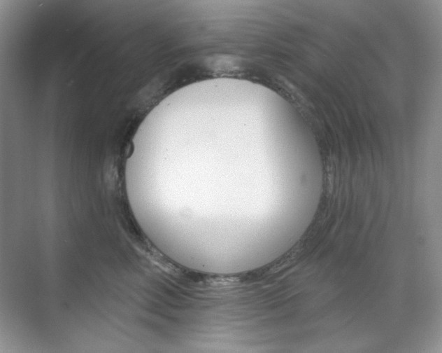 X0000073830618200608101003