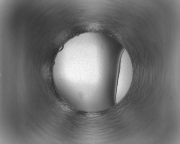 X0000073830619200608101003