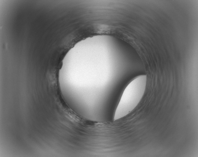 X0000073830620200608101003