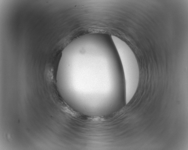 X0000073830621200608101003