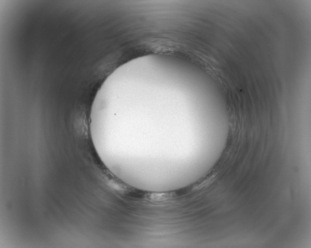 X0000073830622200608101003