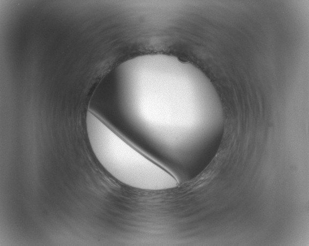 X0000073830624200608101003