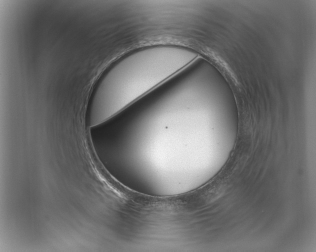 X0000073830625200608101002