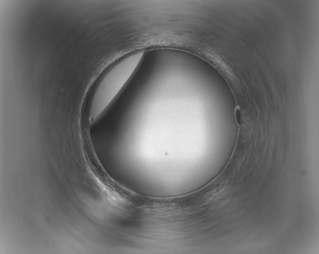 X0000073830626200608101002