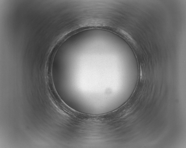 X0000073830627200608101002