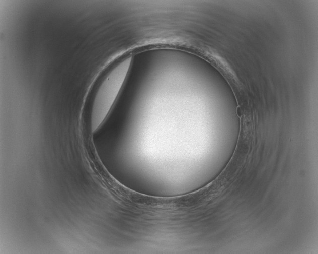 X0000073830628200608101002