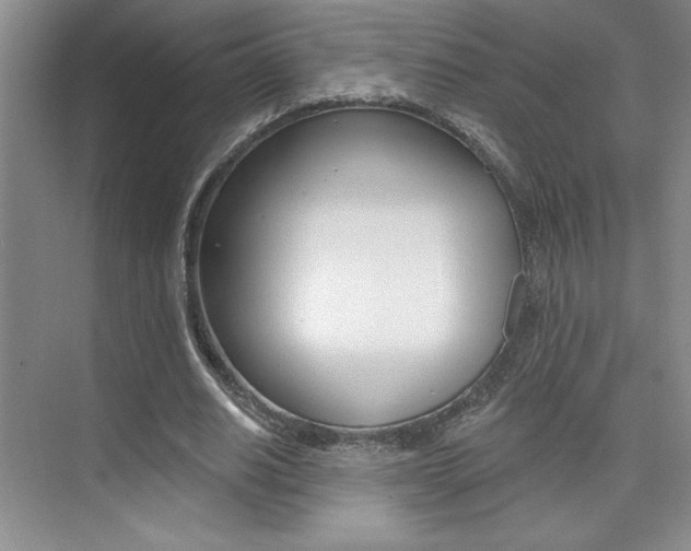 X0000073830630200608101002