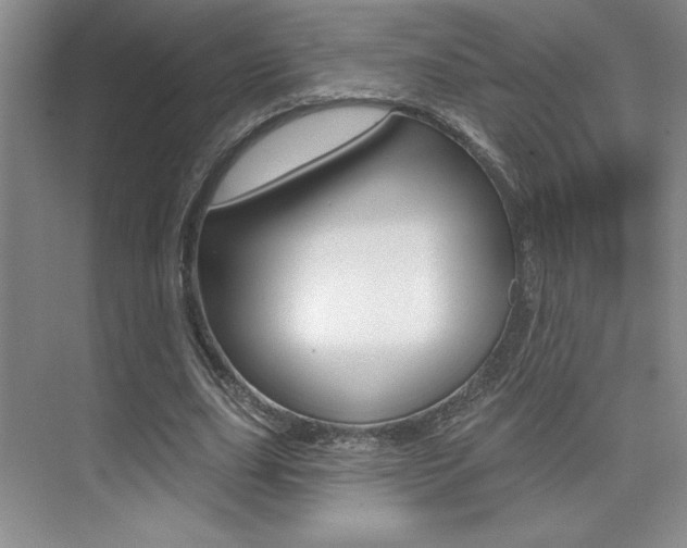 X0000073830631200608101002