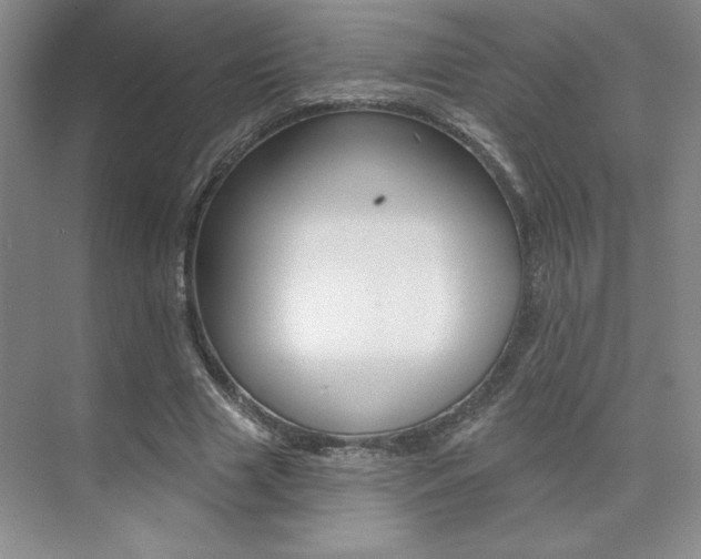 X0000073830633200608101002